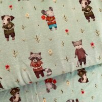 Blumenfreunde Jersey lindgrün